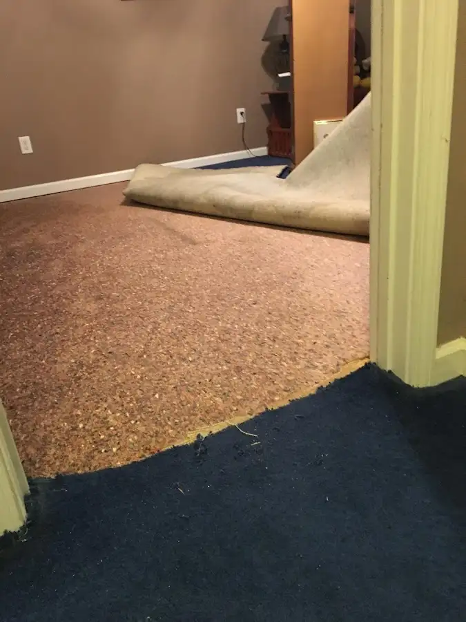 Carpet pad removal revealing water damage during Drying & Dehumidification in Fulton